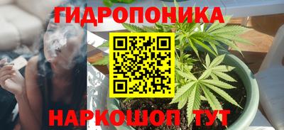 шишки Нальчик