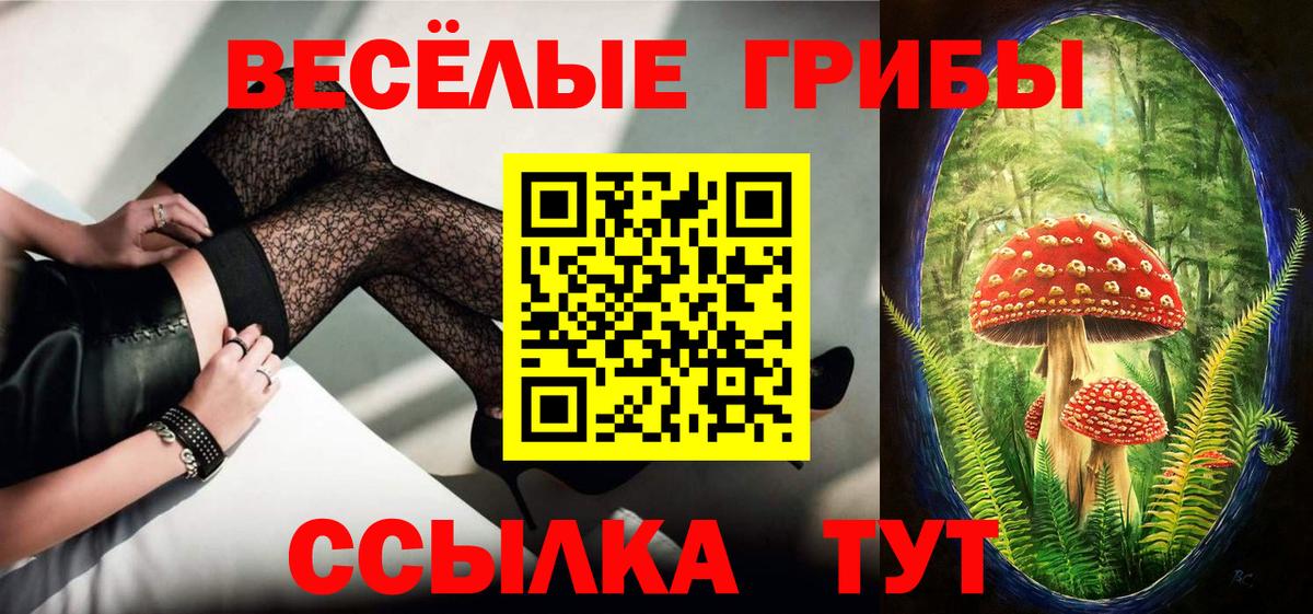 Обнинск  где продают наркотики  Вход с VPN  Галлюциногенные грибы MAGIC MUSHROOMS 